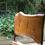 TAO������
